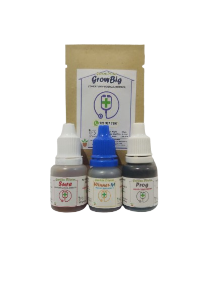 Combo 5 Small: GrowBig, Sure, Winner M & Prog (for up to 12 plants)